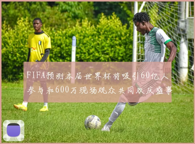 FIFA预测本届世界杯将吸引60亿人参与和600万现场观众共同欢庆盛事