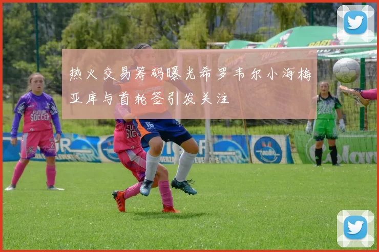 热火交易筹码曝光希罗韦尔小海梅亚库与首轮签引发关注